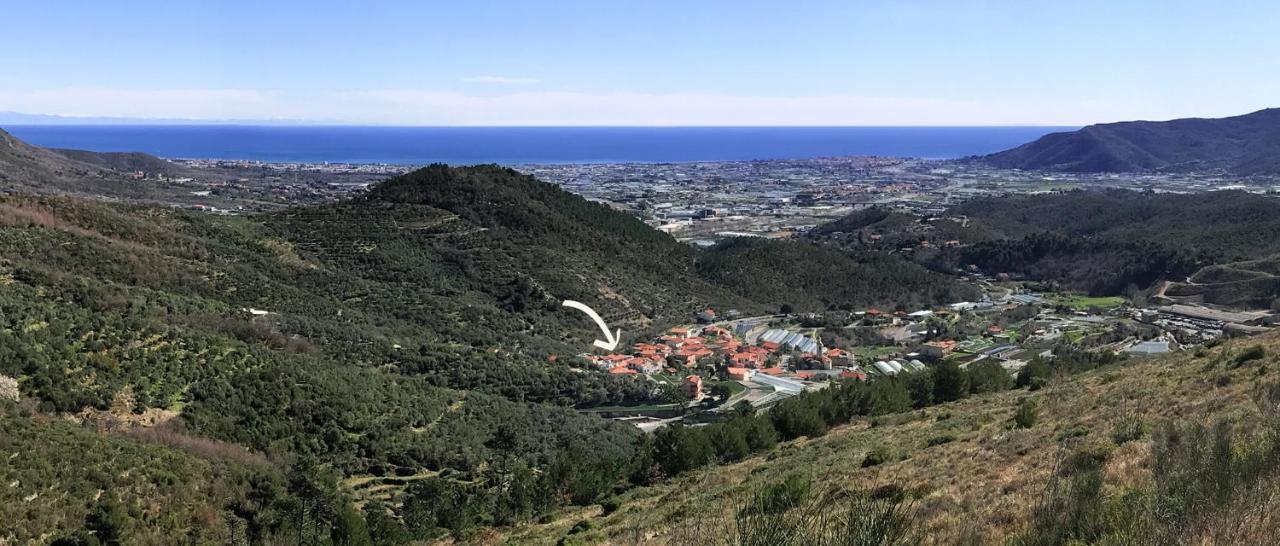Gli Angeli Agriturismo Villa Cisano sul Neva Екстериор снимка