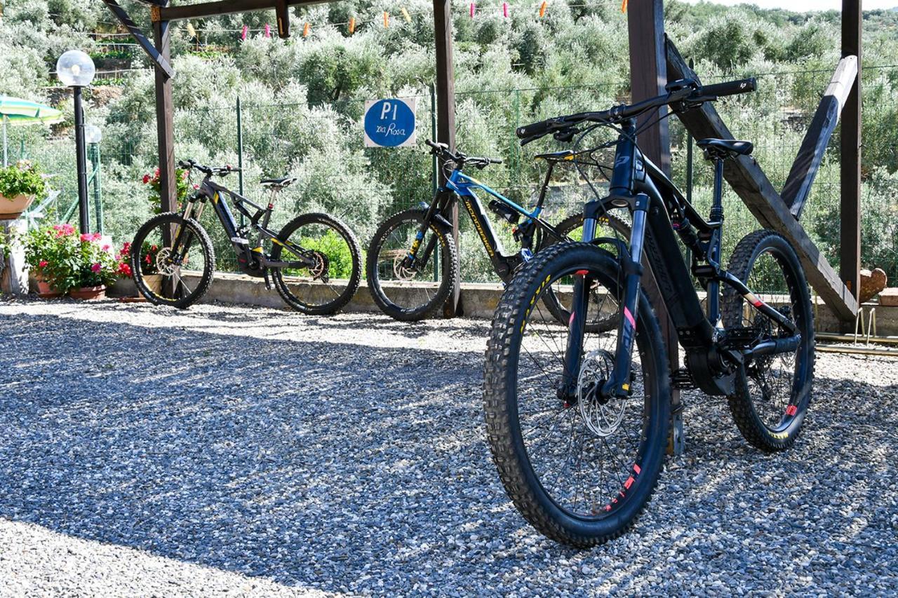 Gli Angeli Agriturismo Villa Cisano sul Neva Екстериор снимка